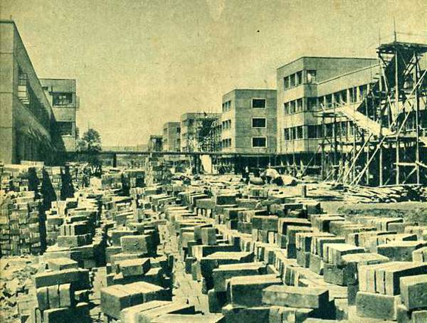 001kvmoogy6zfptungtfb690