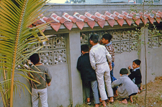 pict0290_tanina_curiousboys_1968-1