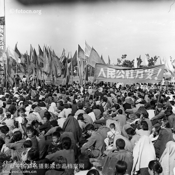 201504260959071631-4505638