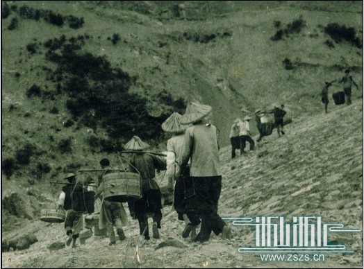 100320100309164348900