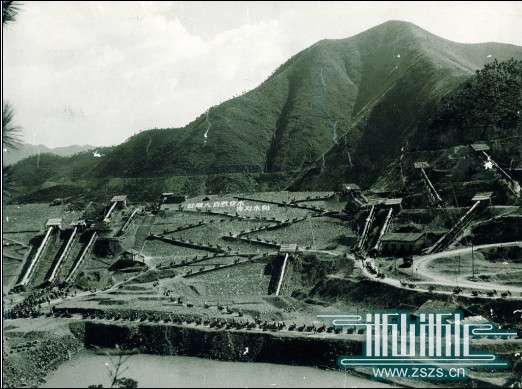 100320100309164406330