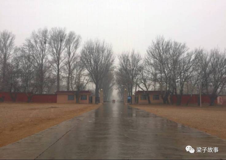 996e9c2c501c47d3925d066a7a263b30_th