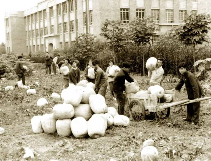 f172fbf034da49de8aaabbaf574f6ff9_th