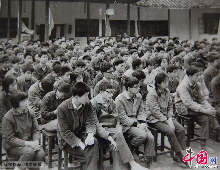 d43d7e14ddd1162a8a8503