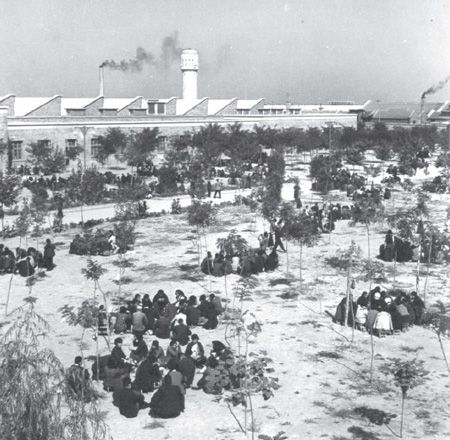 dsBook211ztszqzqj012