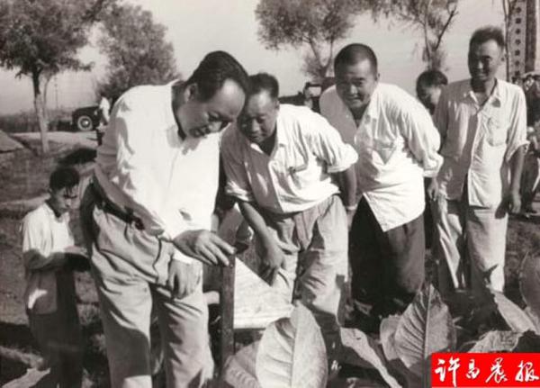 F606B96F8F46977A83D584D15A1F4BF0