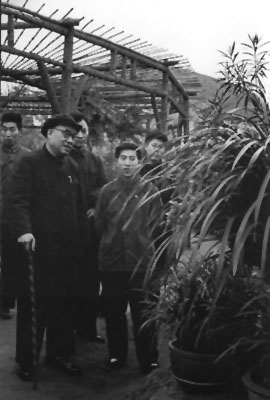 F200611151311211836916195