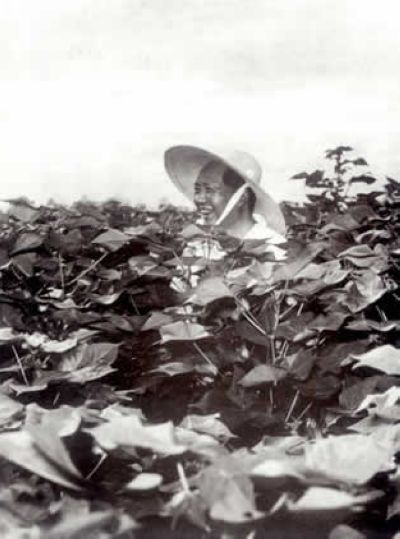 490a9b4ctb895fcf467ff&amp;690