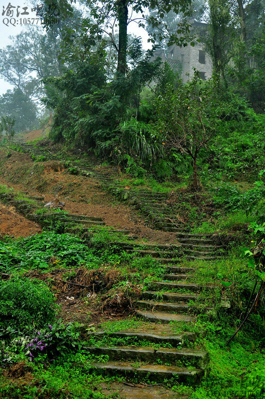 001Ze4y7zy7orSlTWuld9&amp;690