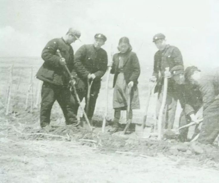 30ca53d1e6d00f3ea317fb5000e11944