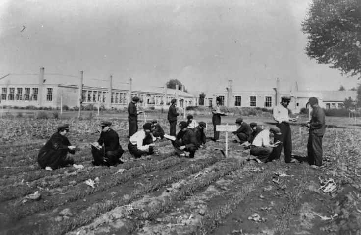 472767464e8a051d92105c676b886c20