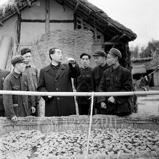 28beafb349e1db6bd4a5149bf55b5291